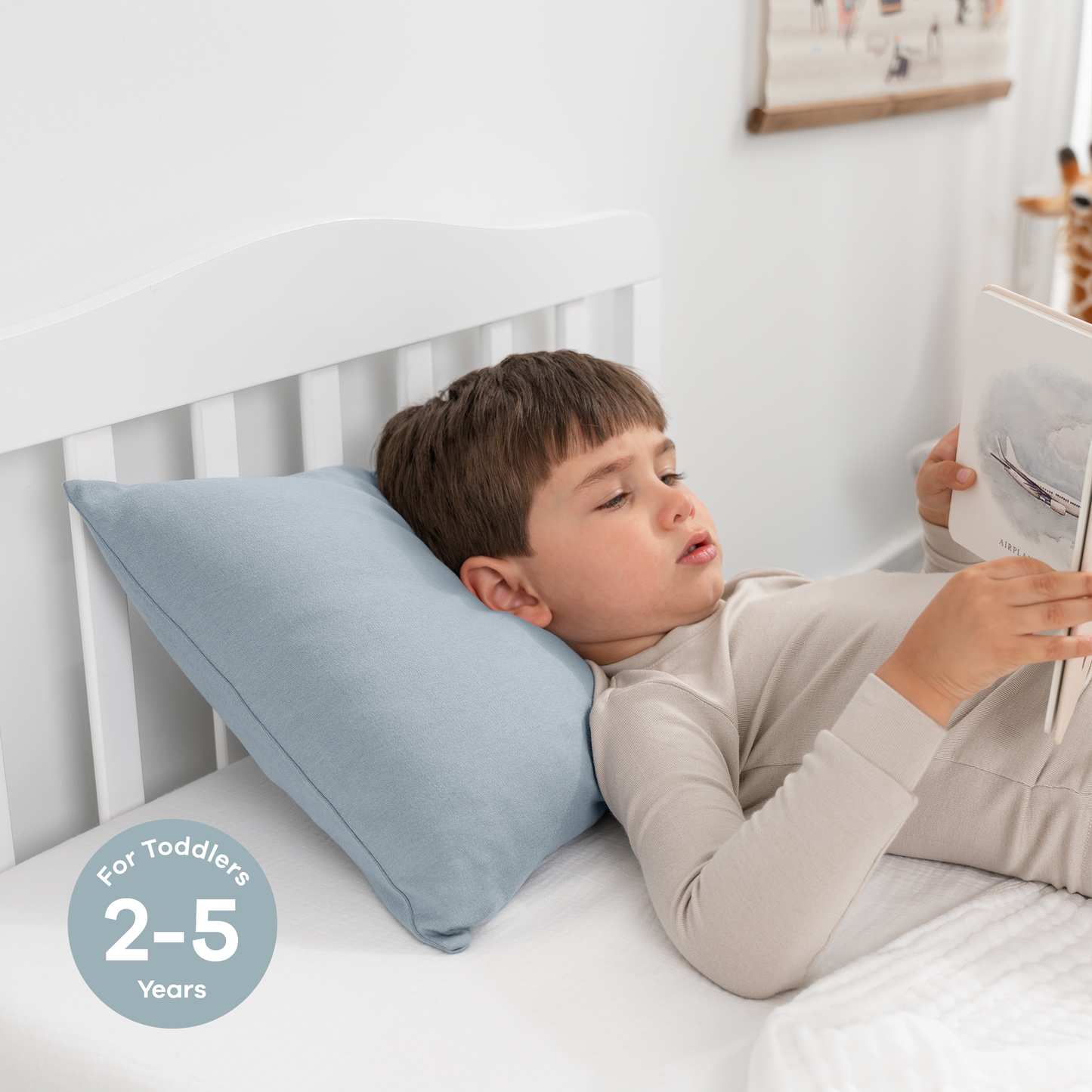 Toddler Pillows with Soft Cotton Pillow Case - Pacific Blue