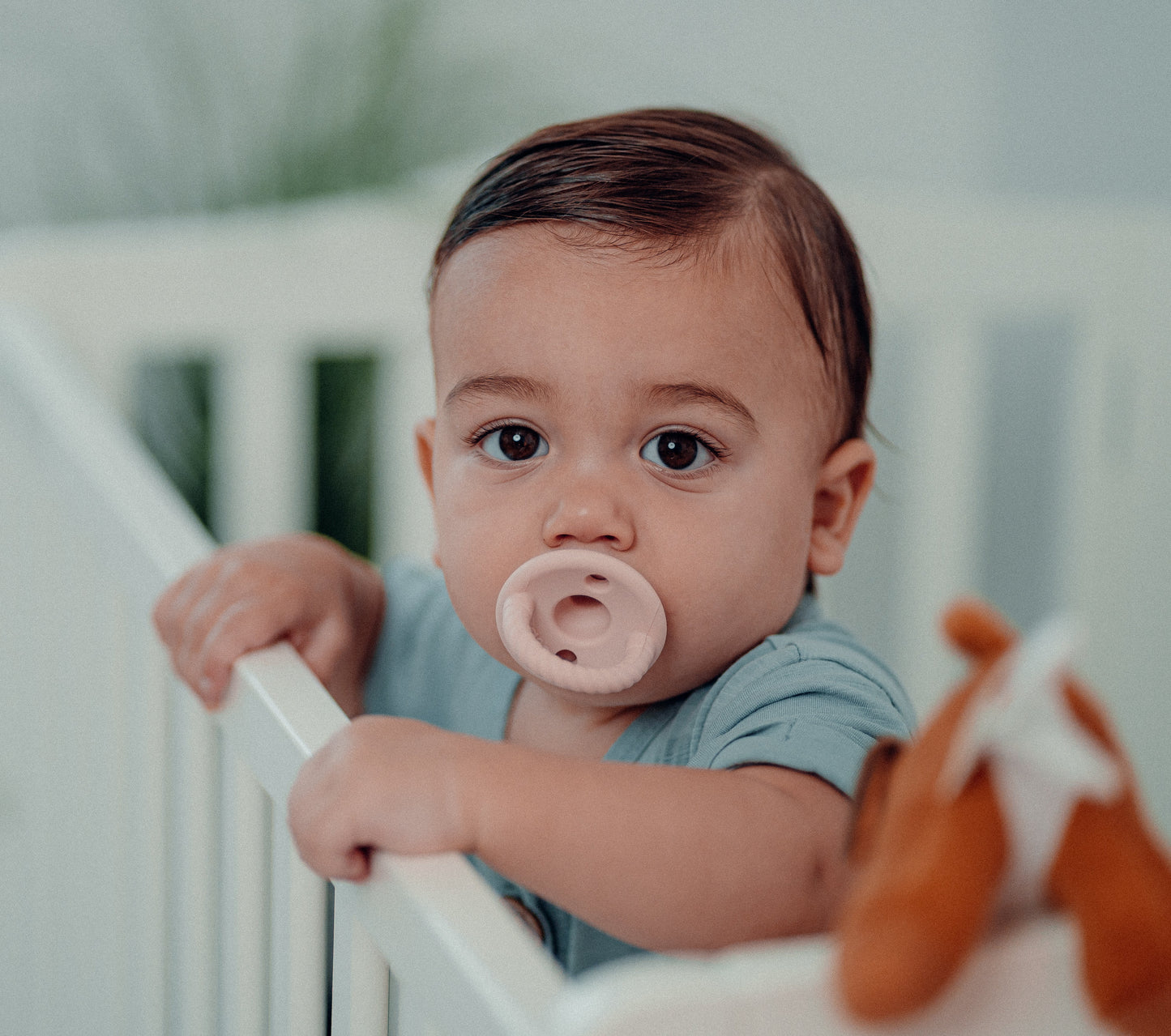 Pacifiers, 4 Pack - Pink Blush