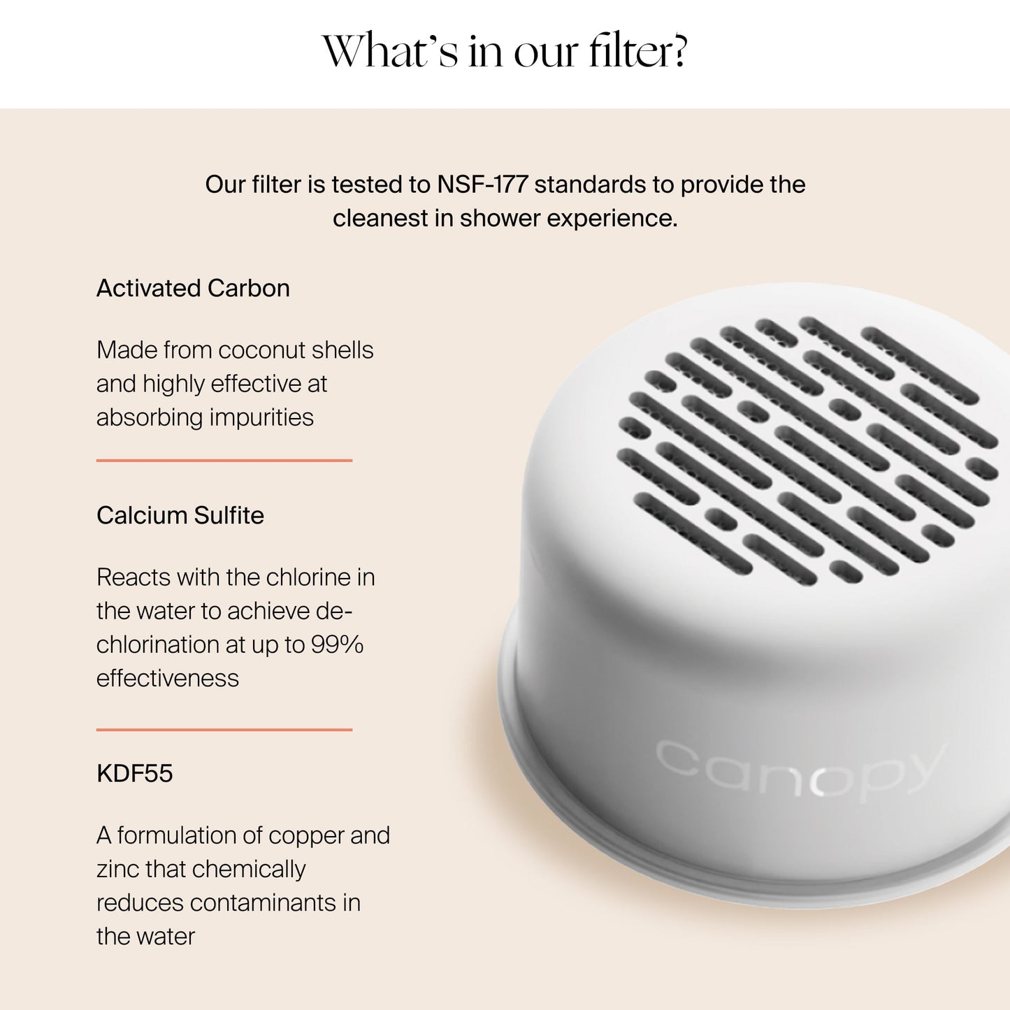 Canopy Filtered Showerhead