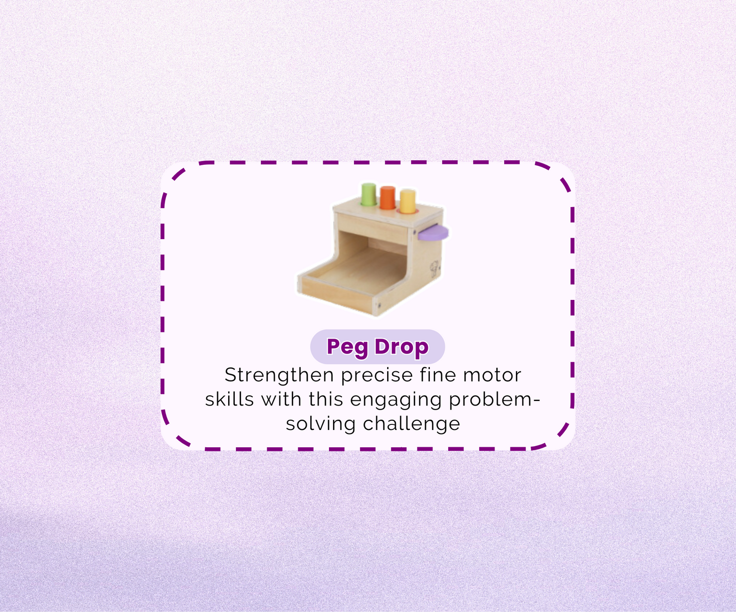 Montessori Educational Box (11-12 months)