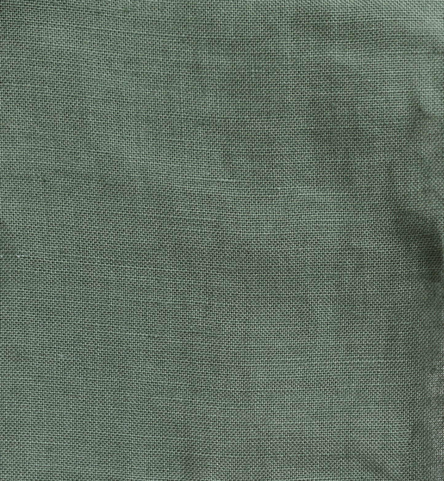 Acadian - Linen Lovey Kitten