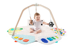 The Play Gym