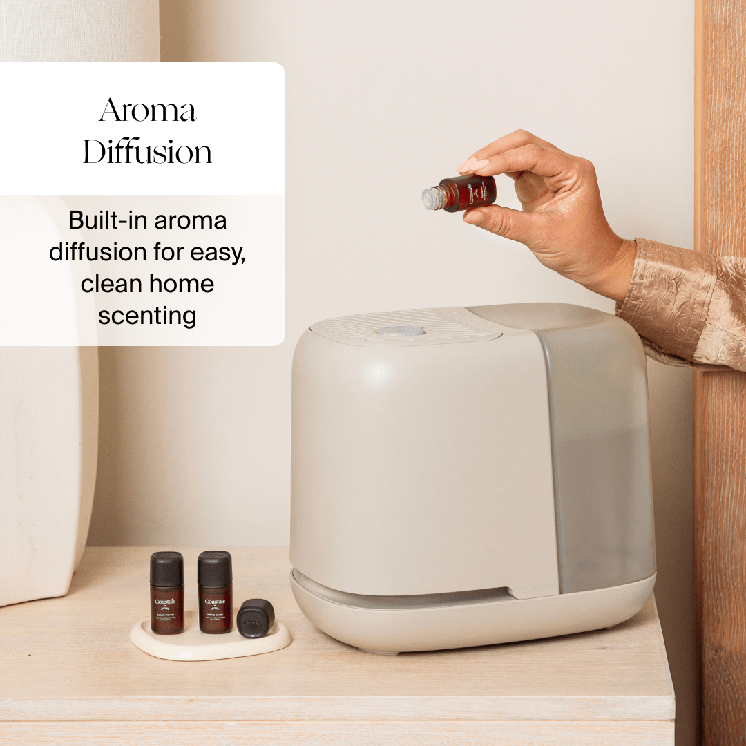 Bedside Humidifier 2.0 Bundle