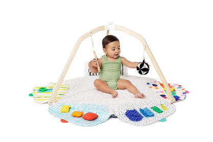 The Play Gym