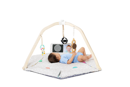 The Play Gym