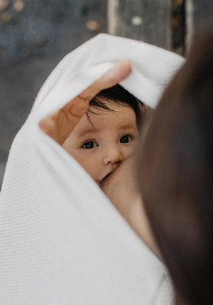 Ivory Cocoon | We Are Amma - additional view
