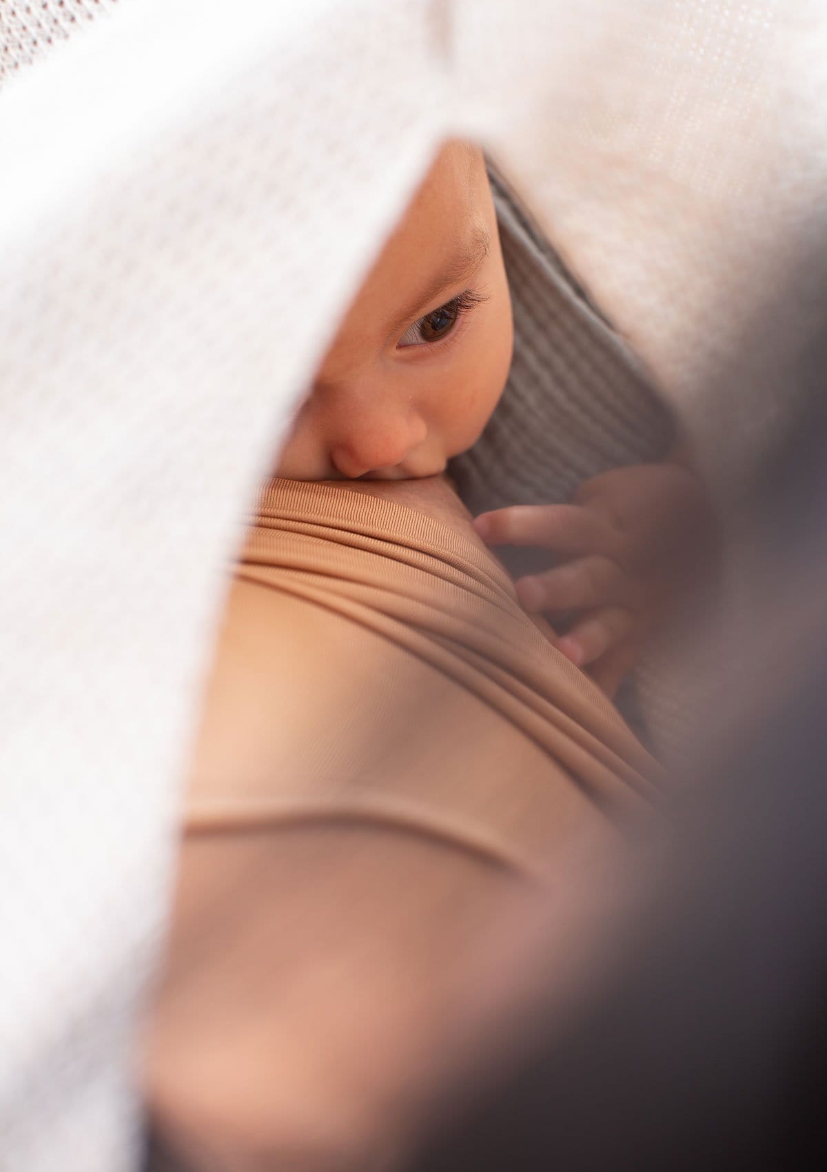 Ivory Cocoon | We Are Amma - additional view