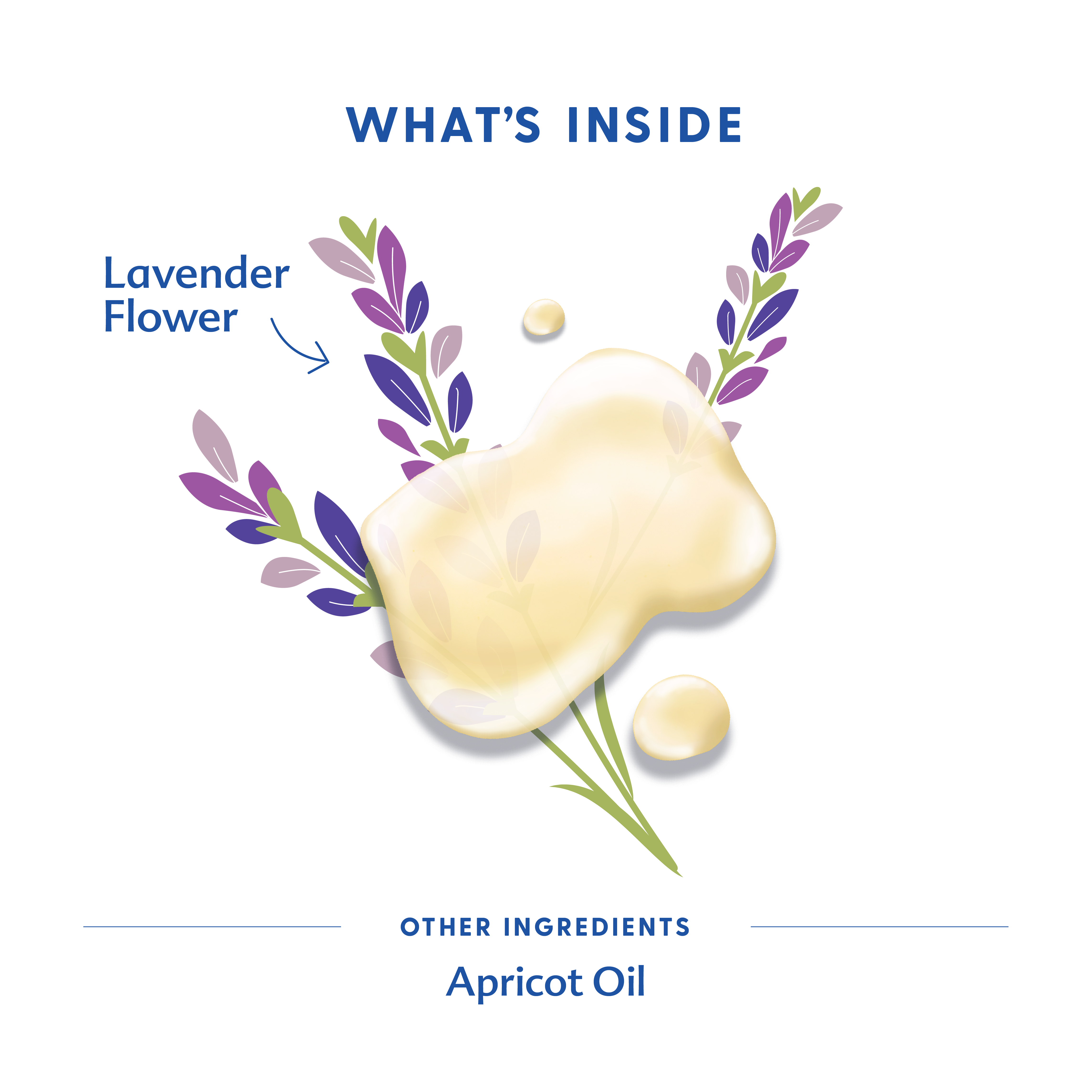 Birth & Baby Oil | Motherlove Herbal Company - additional view