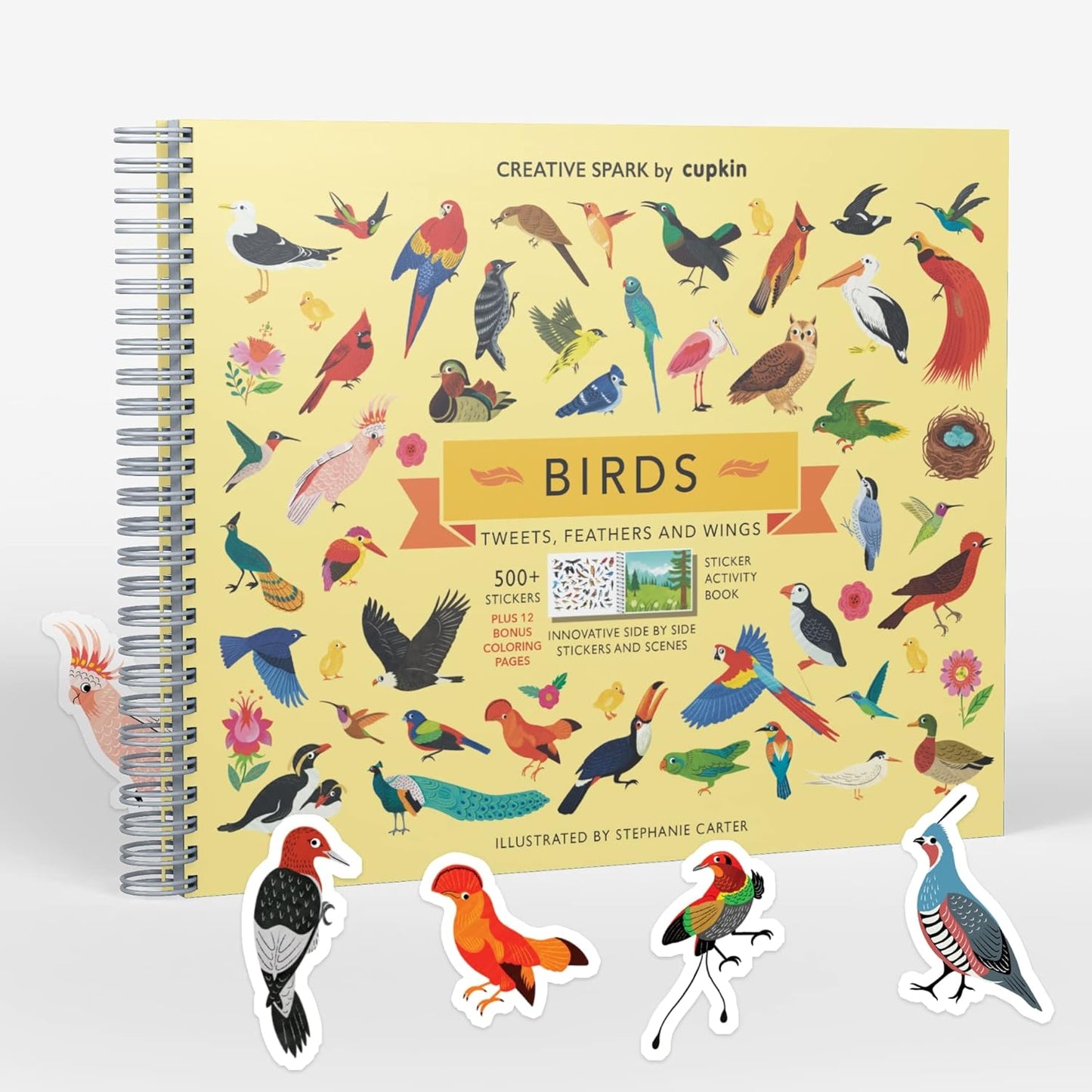 Birds Sticker Book