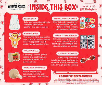 Montessori Educational Box (3-4 Months)