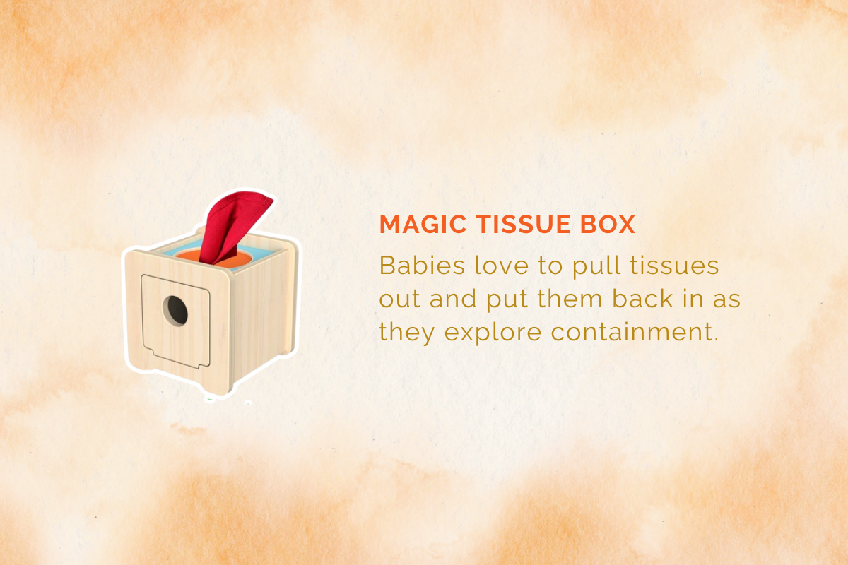 Montessori Educational Box (6-9 Months)