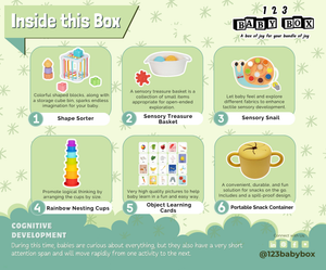 Montessori Educational Box (7-8 months) | 123 Baby Box - additional view