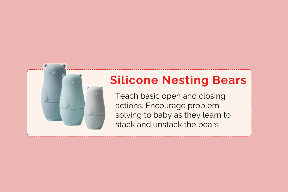 Montessori Educational Box (9-10 Months)