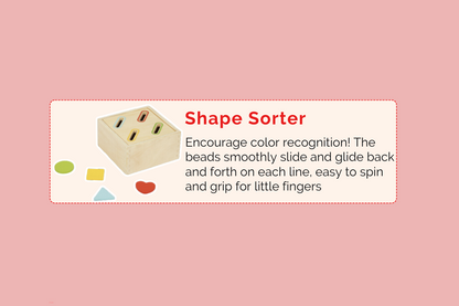 Montessori Educational Box (9-10 Months)