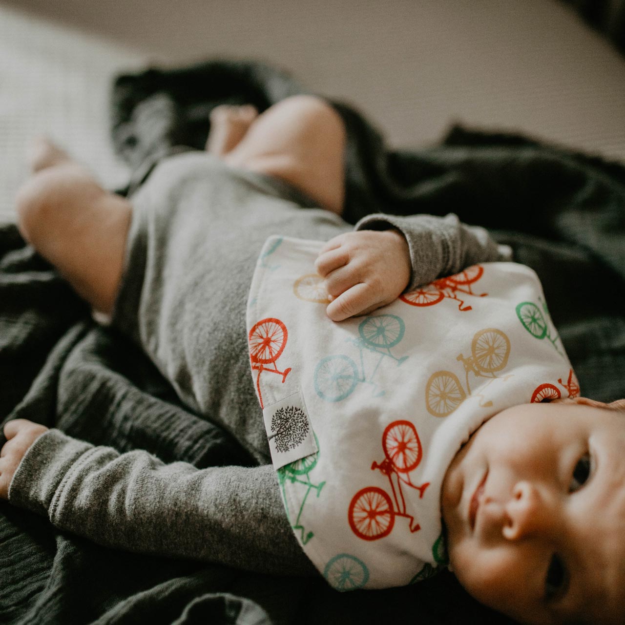 Bikes Bandana Bib Set