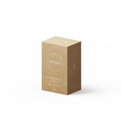 Aroma Stone 6-Pack