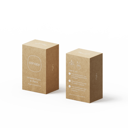 Aroma Stone 6-Pack