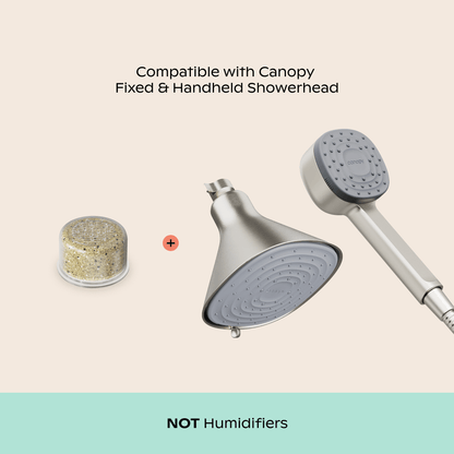 Showerhead Filter Bundle