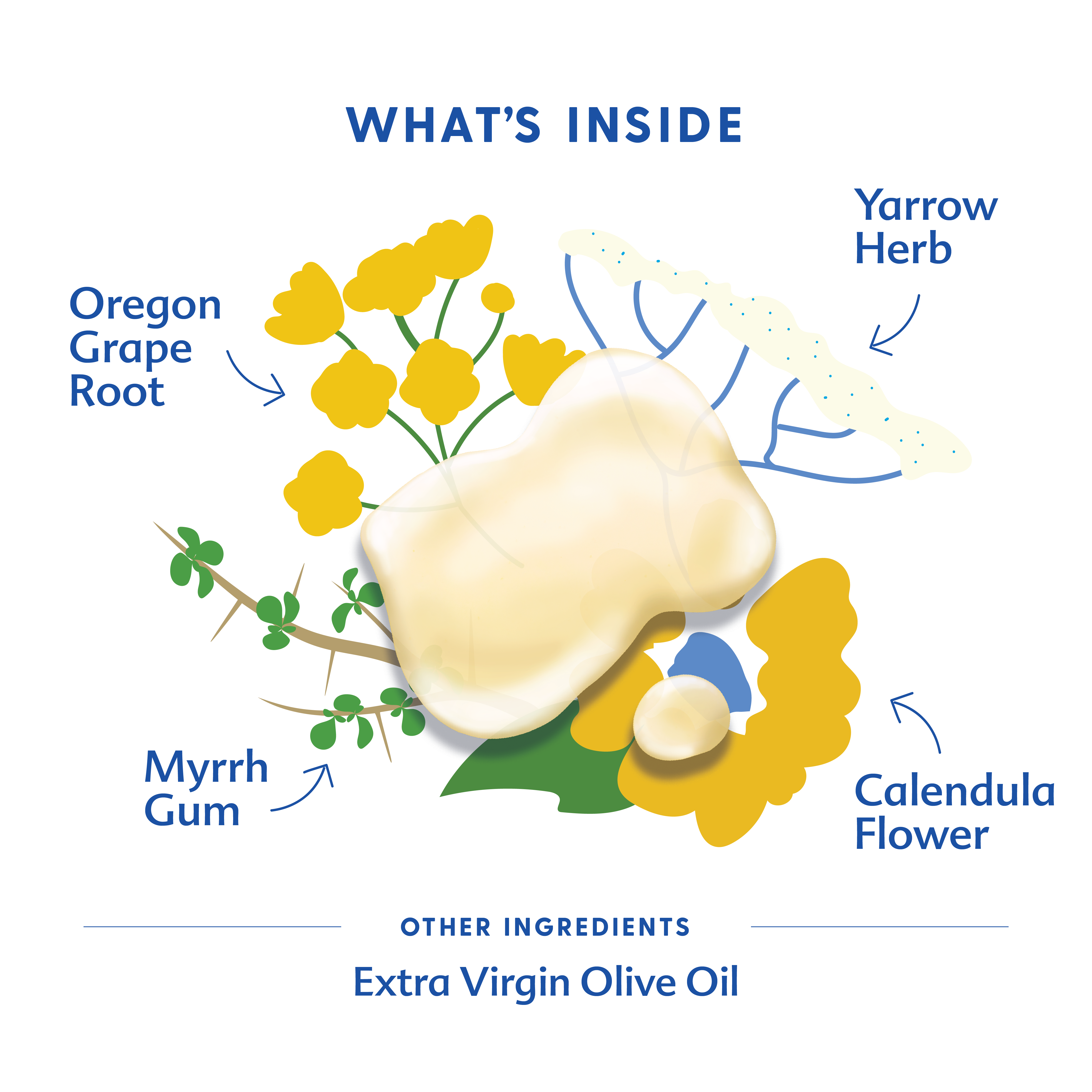 Diaper Oil | Motherlove Herbal Company - additional view