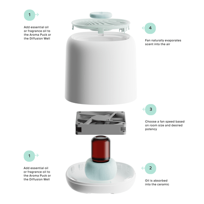 Canopy Diffuser