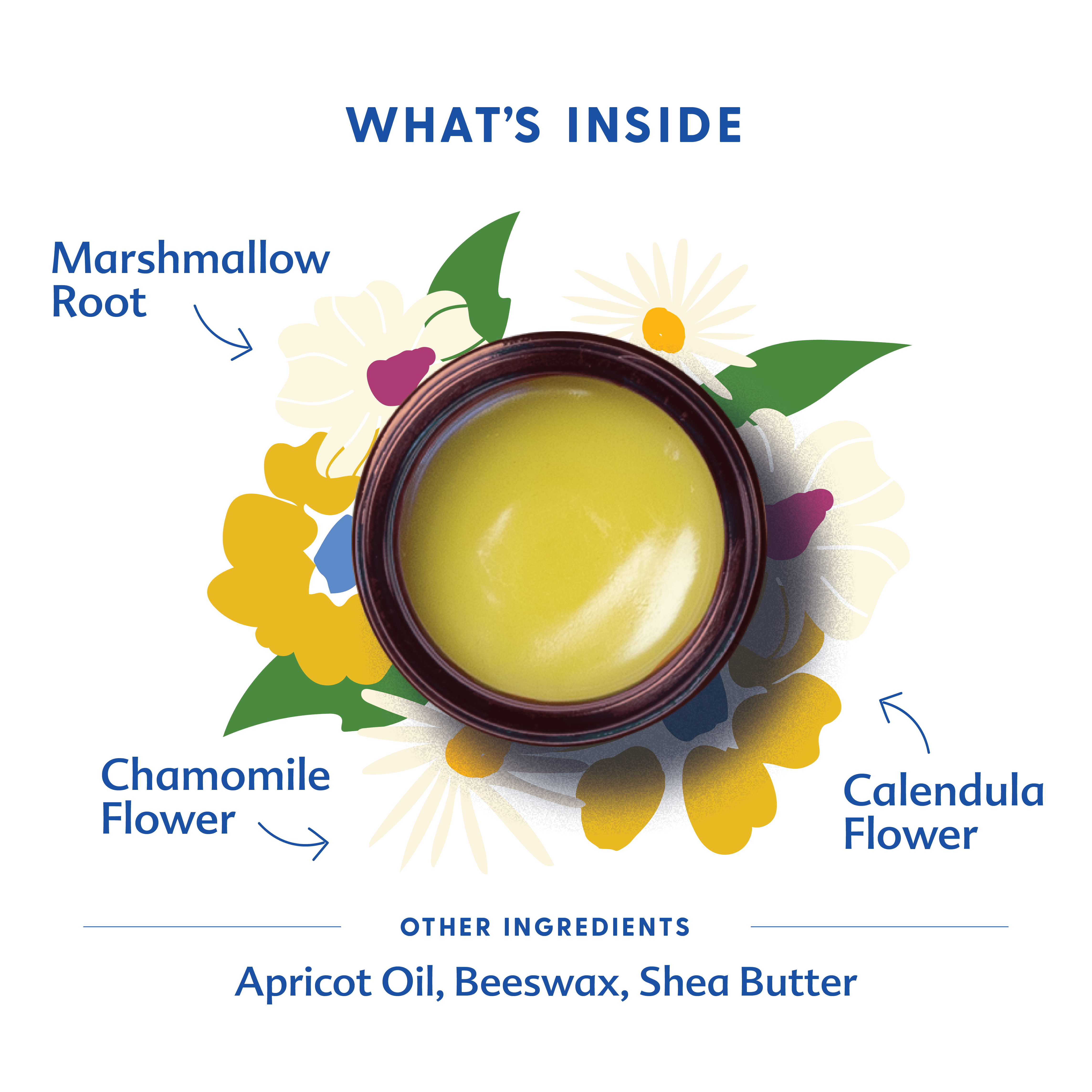 Everyday Baby Balm | Motherlove Herbal Company - additional view