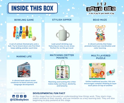 Montessori Educational Box (19-21 Months)