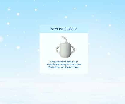 Montessori Educational Box (19-21 Months)