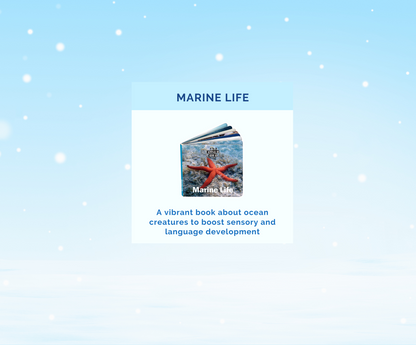 Montessori Educational Box (19-21 Months)