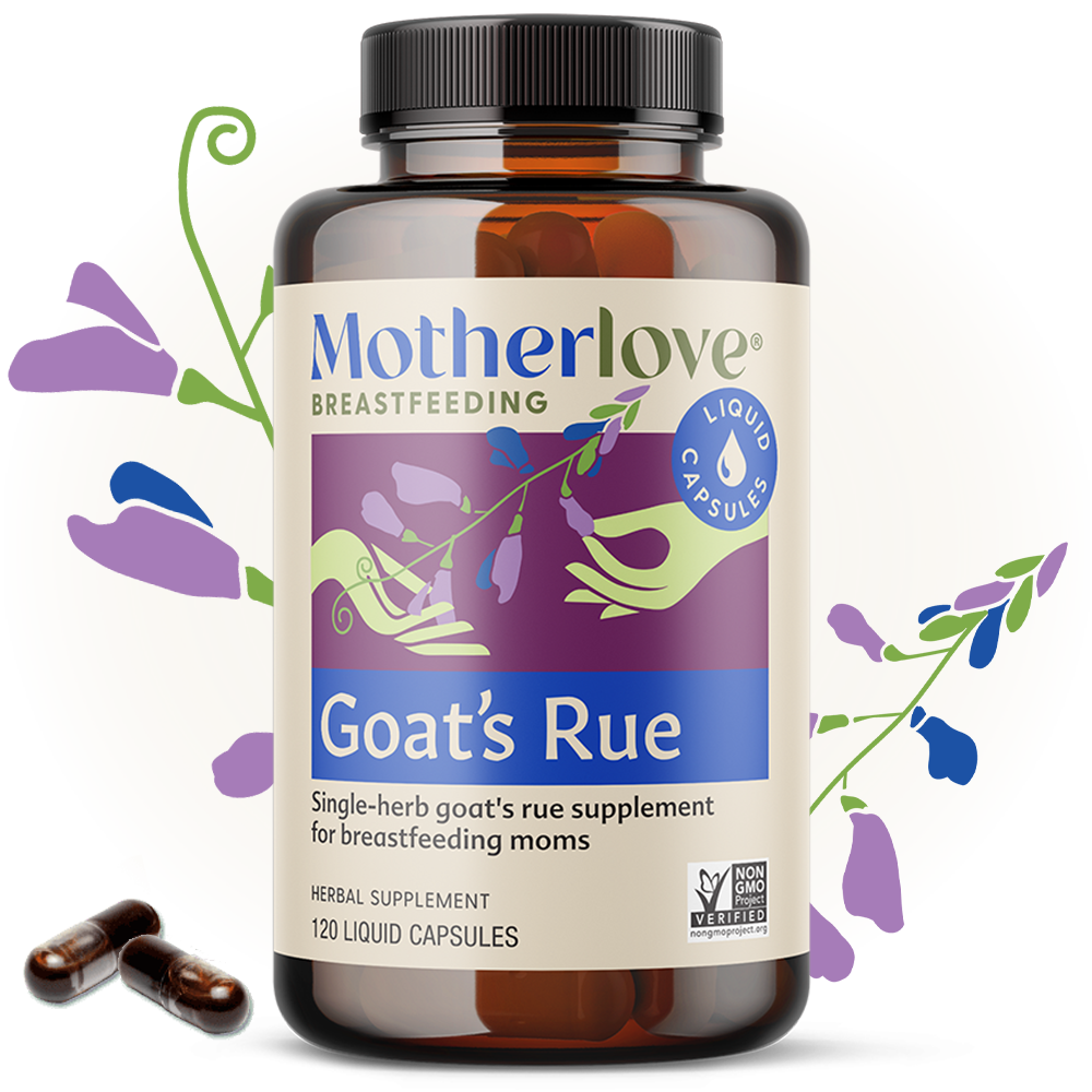 Goat's Rue - Liquid Capsules | Motherlove Herbal Company - additional view