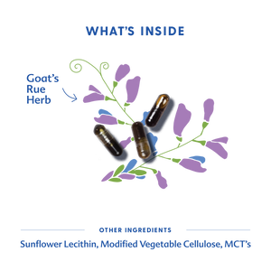 Goat's Rue - Liquid Capsules | Motherlove Herbal Company - additional view