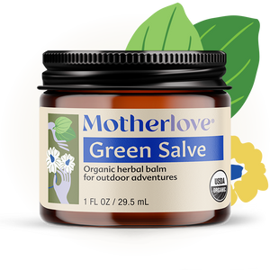 Green Salve | Motherlove Herbal Company