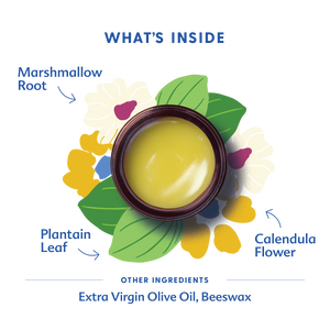 Green Salve | Motherlove Herbal Company - additional view