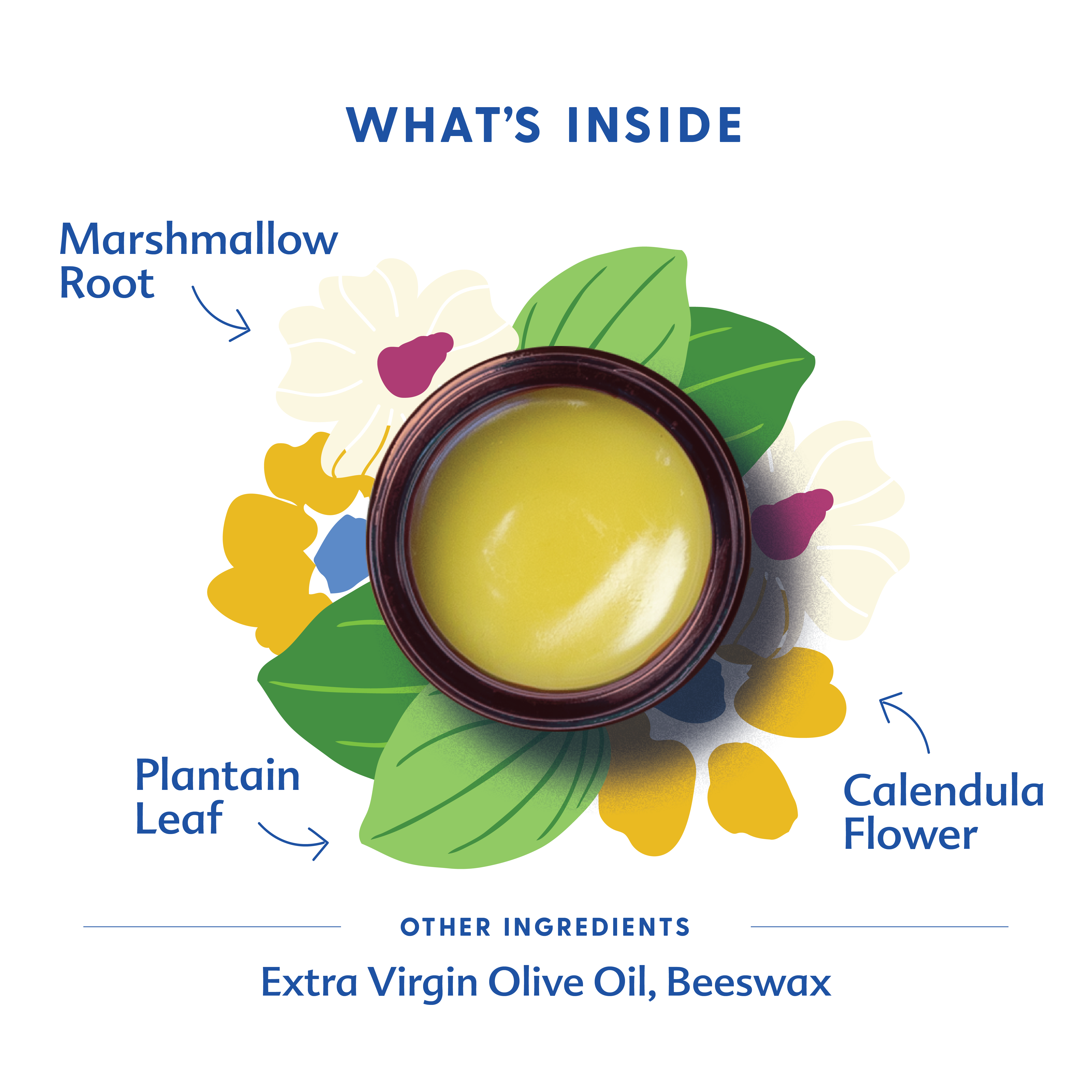 Green Salve | Motherlove Herbal Company - additional view
