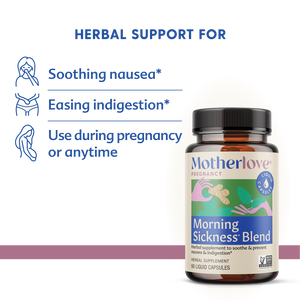 Morning Sickness Blend - Liquid Capsules | Motherlove Herbal Company - additional view