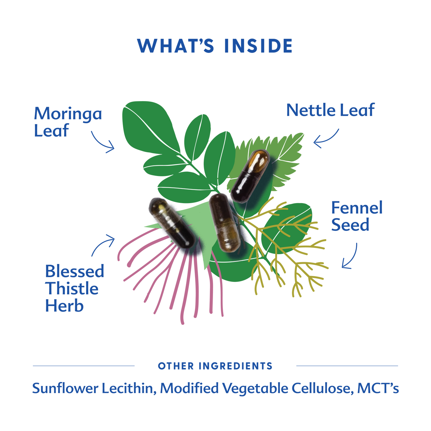 More Milk® Moringa - Liquid Capsules