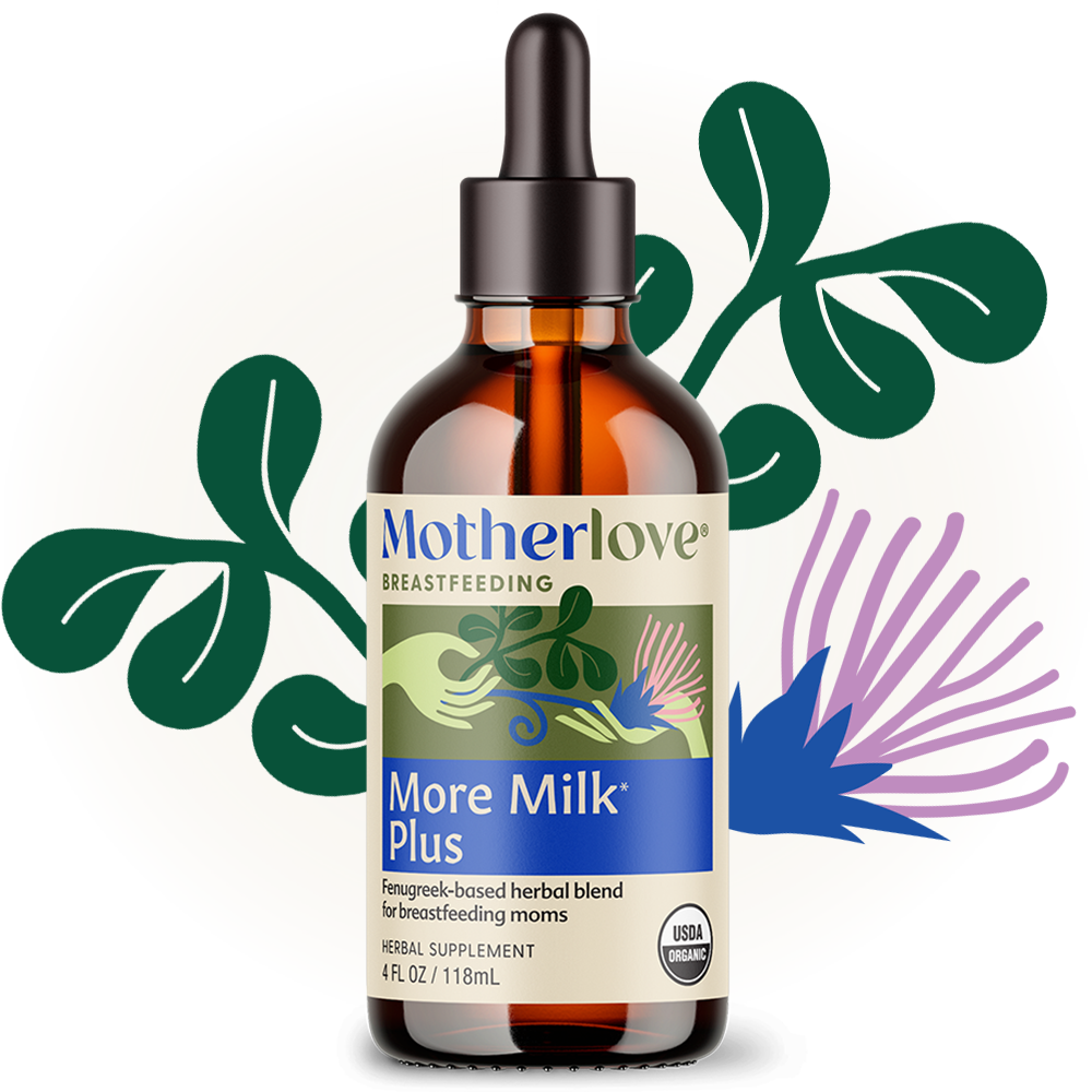 More Milk Plus® - Tincture | Motherlove Herbal Company - additional view