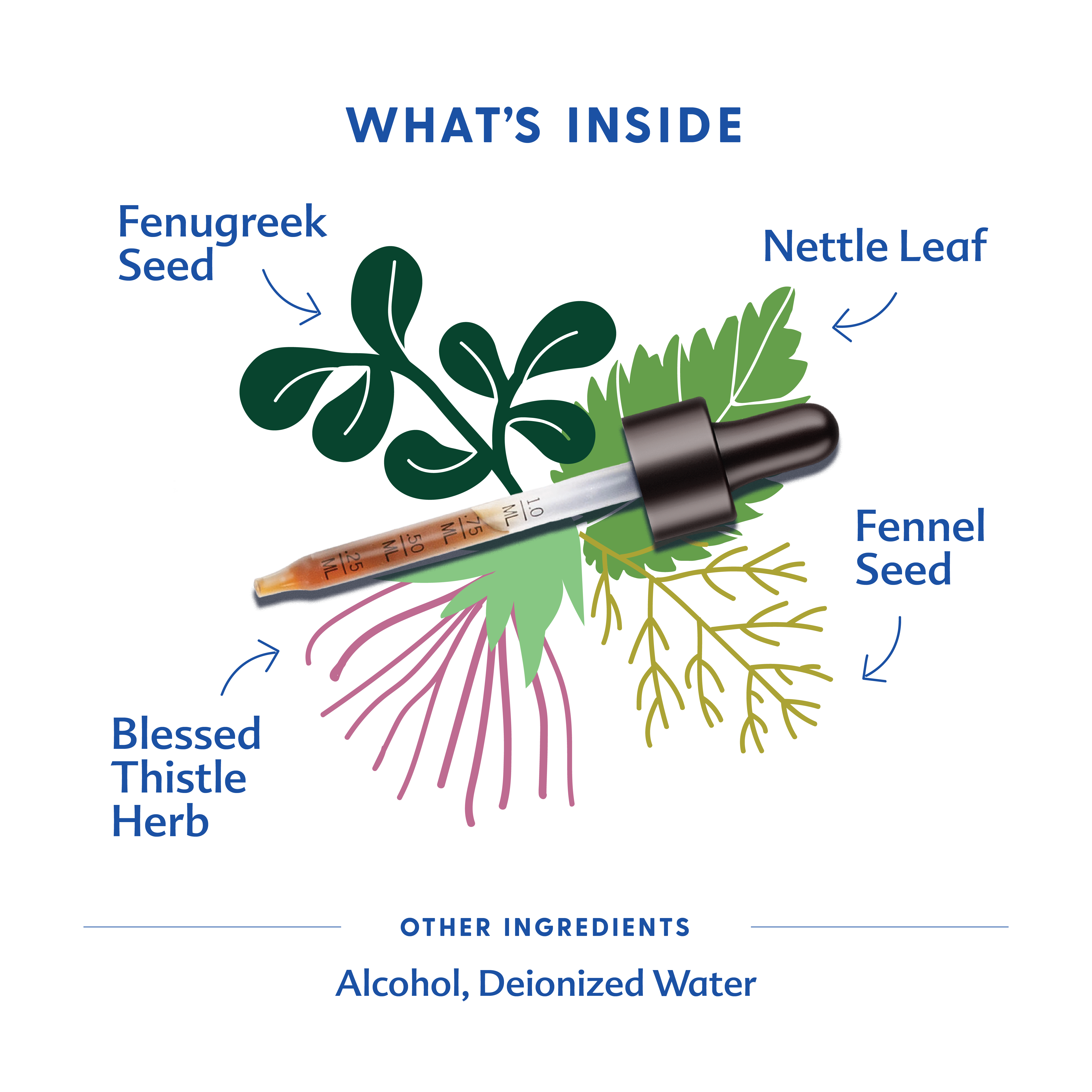 More Milk Plus® - Tincture | Motherlove Herbal Company - additional view