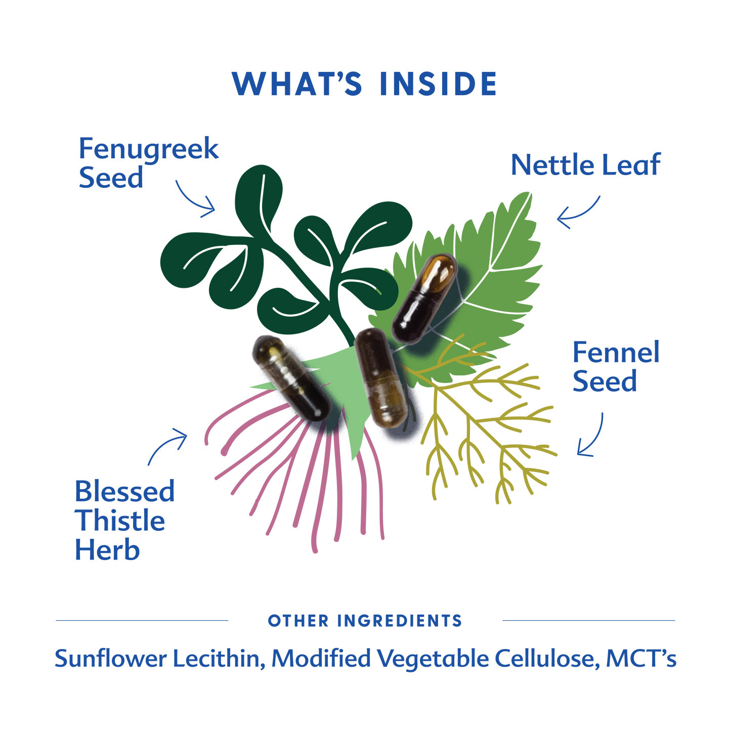 More Milk Plus® - Liquid Capsules