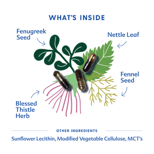 More Milk Plus® - Liquid Capsules | Motherlove Herbal Company - additional view