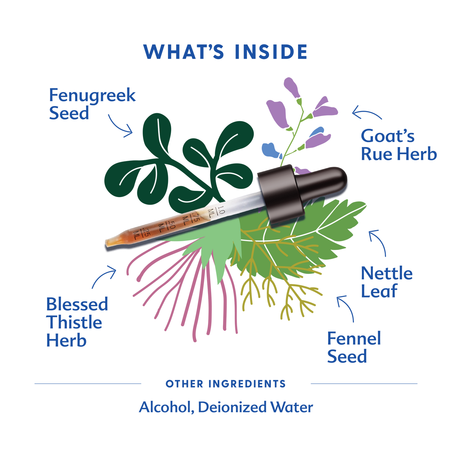More Milk® Special Blend - Tincture