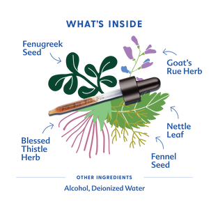 More Milk® Special Blend - Tincture | Motherlove Herbal Company - additional view