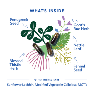 More Milk® Special Blend - Liquid Capsules | Motherlove Herbal Company - additional view