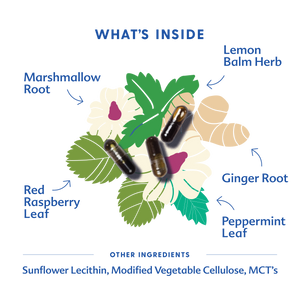 Morning Sickness Blend - Liquid Capsules | Motherlove Herbal Company - additional view