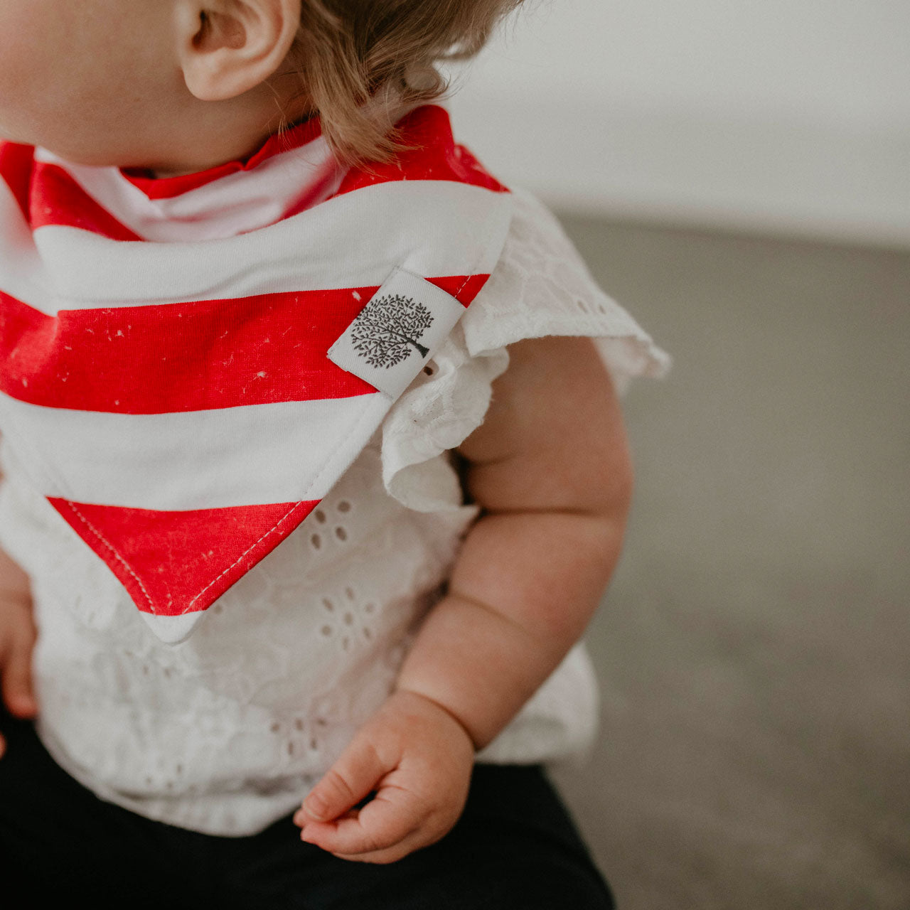 Freedom Bandana Bib Set