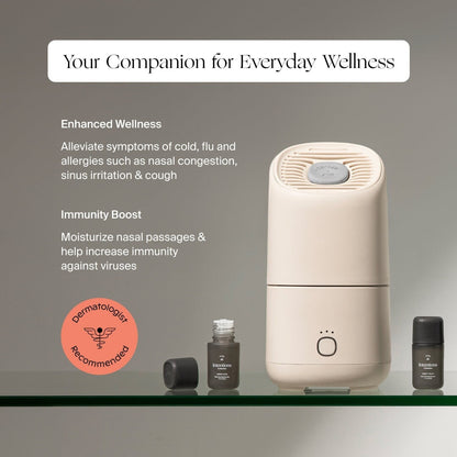 Portable Humidifier
