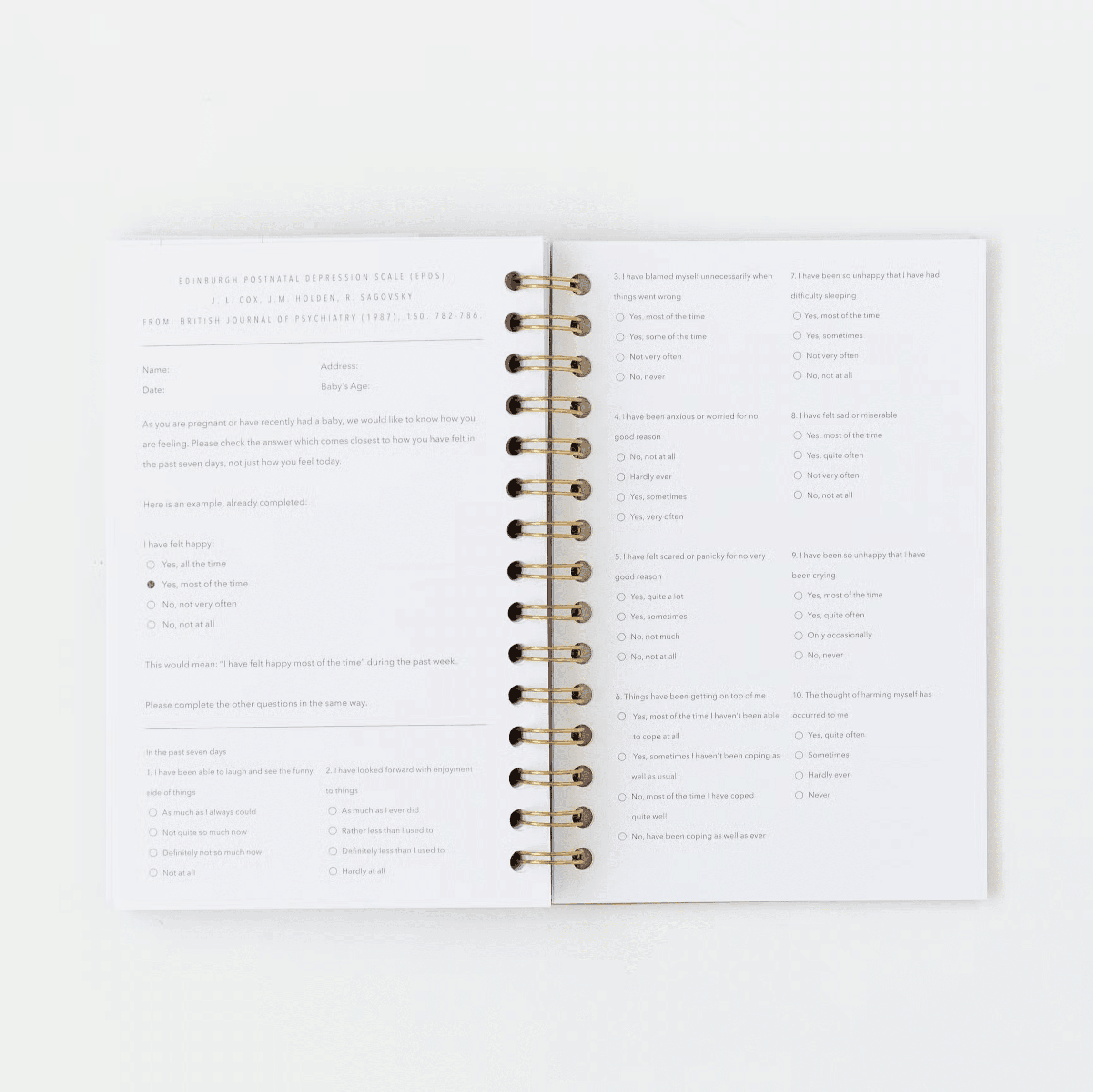 postpartum recovery journal notebook