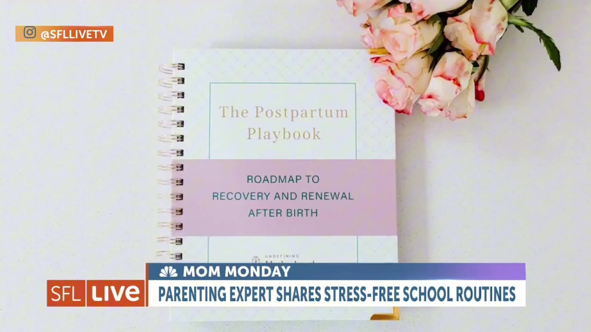 The Postpartum Playbook: Your Guide to Recovering After Childbirth