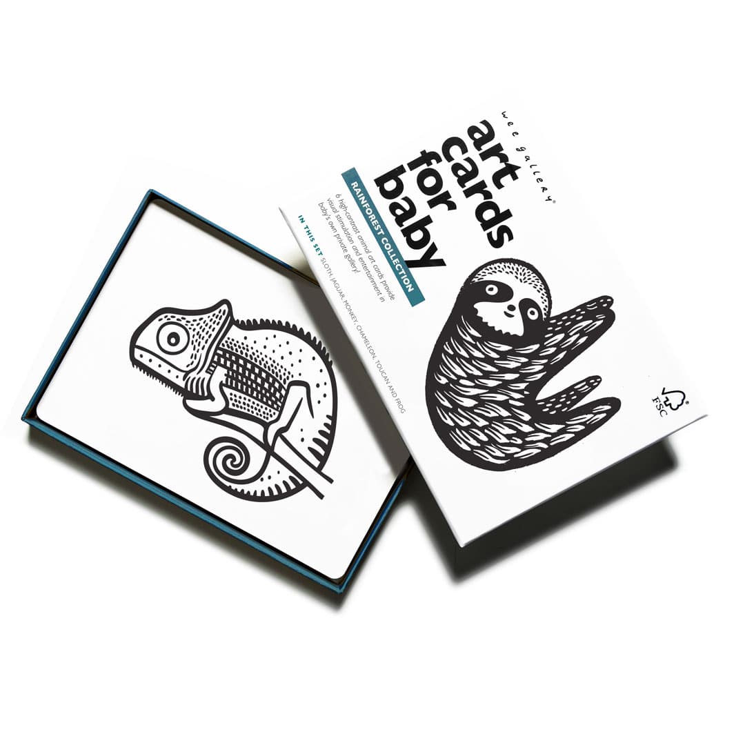 Art Cards for Baby - Rainforest Collection | Wee Gallery - additional view