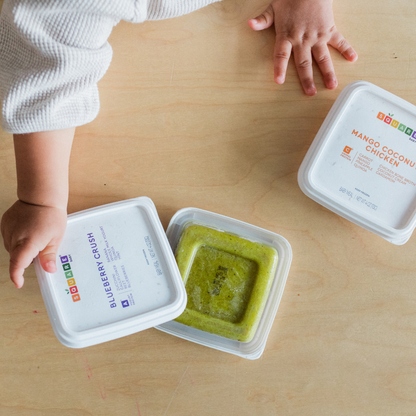 Square Baby 14-Meal Assortment Starter Kit