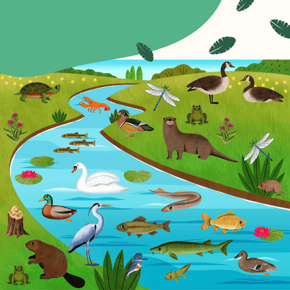 Animal Habitats Sticker Book